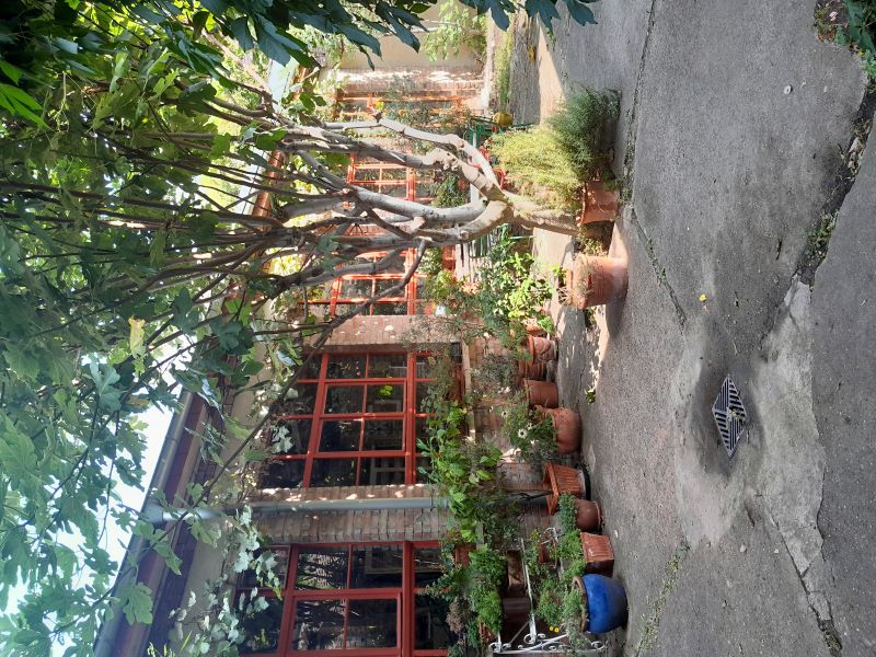 Fröhlichladen - LICHTMEILE 2024